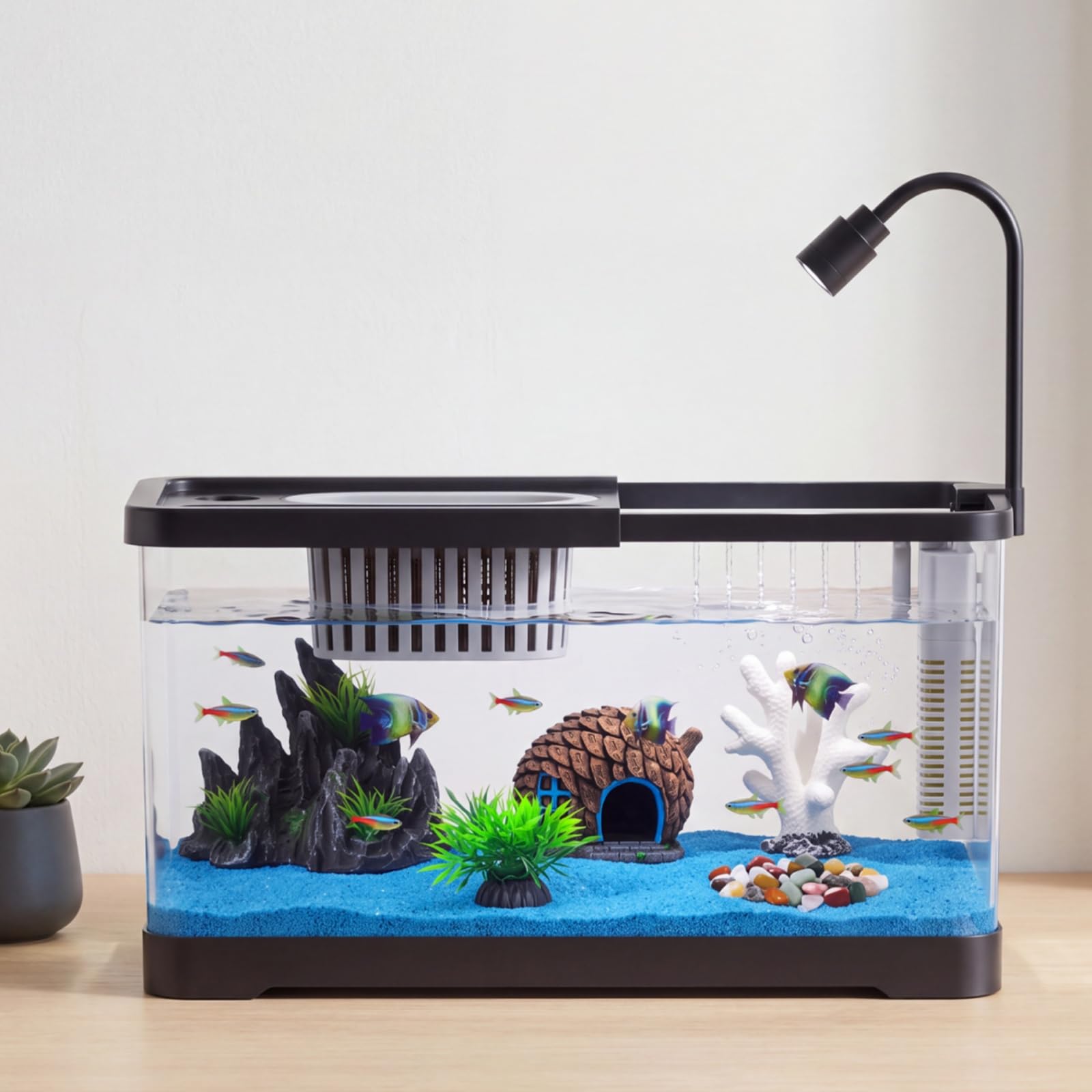 Zestaw startowy do akwarium z  – Betta Fish Tank recenzja i cena