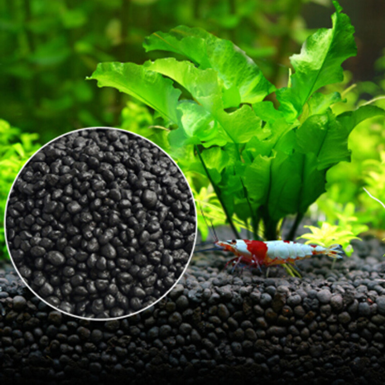 Roślina akwariowa nasiona gleb – Fish Tank Gravel recenzja i cena